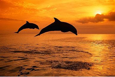 JRPG名作《幻想国物语2》上架Steam 今后将有更多策划