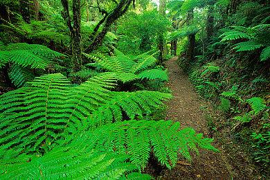 叮咚，我是来拆家的！《家有恶邻》抢先体验现已上线 首发38元